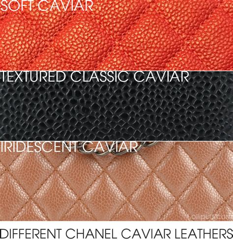 chanel leboy caviar|A Guide to Different Types of Chanel Leather .